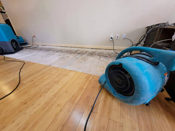 Professional Flood Damage Cleanup technician working in Richwoods, MO